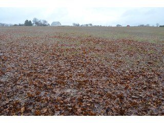 Property photo 29 - FARM AUCTION - 60.5+/- ACRES IN 5 TRACTS IN ALLEN COUNTY, INDIANA